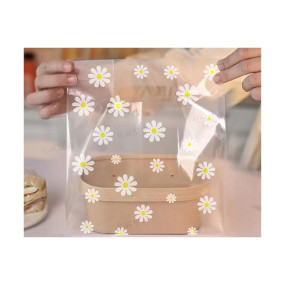 Прозрачный пакет с ручками Ромашки (Китай, полипропилен,  24х34х12 см,1шт)